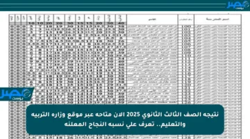 نتيجة الصف الثالث الثانوي 2025 الآن متاحة عبر موقع وزارة التربية والتعليم.. تعرف على نسبة النجاح المعلنة